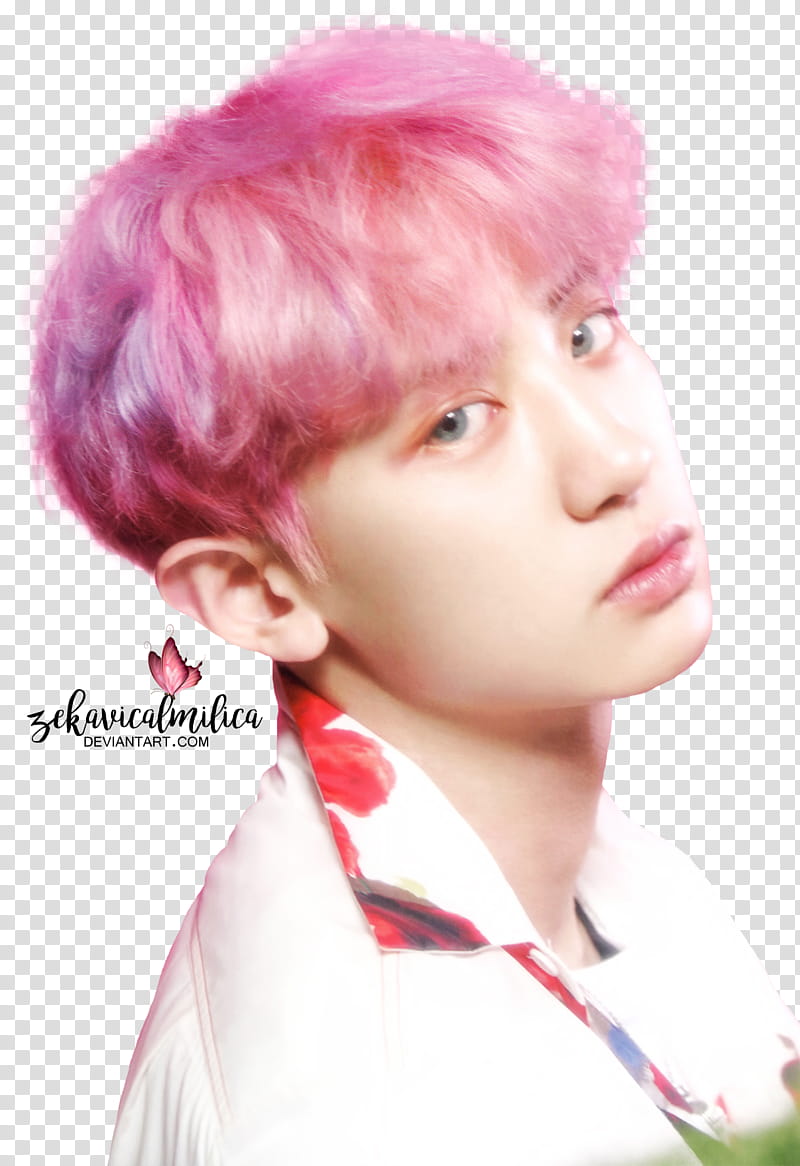 EXO Chanyeol The War transparent background PNG clipart