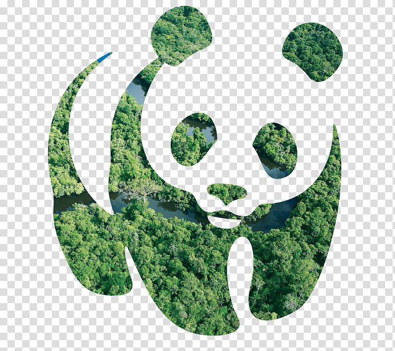 Tree Pixel Art, Giant Panda, Gothenburg Museum Of Art, Art Museum, Kiasma, Decal, Artist, Contemporary Art transparent background PNG clipart