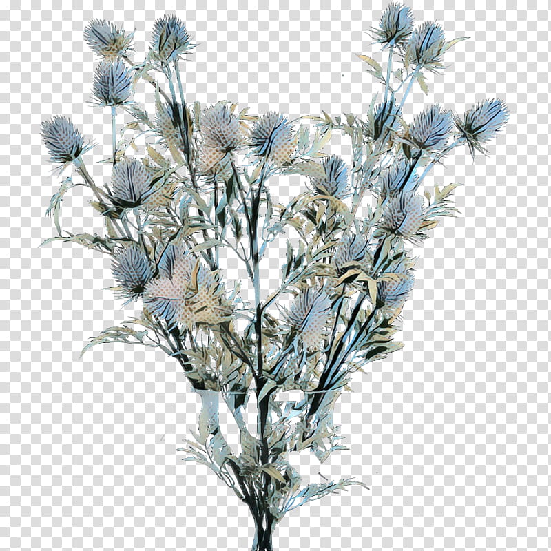 Flowers, Artificial Flower, Thistle, Eryngos, Blue, Floral Design, Plant Stem, Vase transparent background PNG clipart