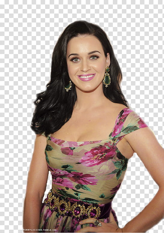 Katy Perry Celebration of Dreams Gala transparent background PNG clipart