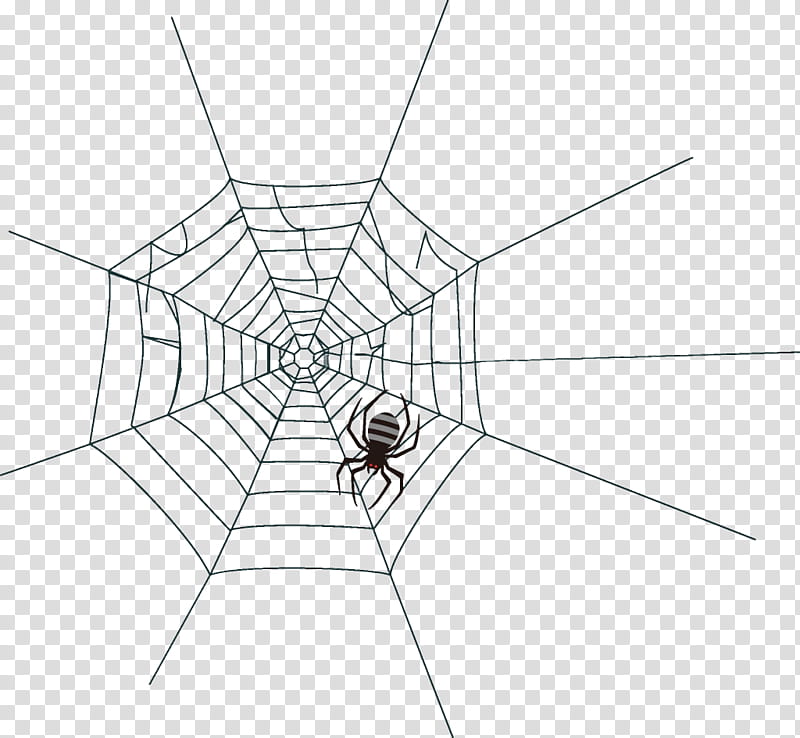 spider web halloween, Halloween , White, Line, Symmetry, Line Art, Diagram, Blackandwhite transparent background PNG clipart