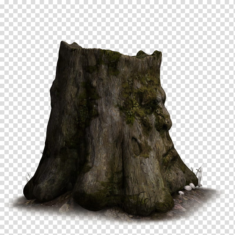 Stump  transparent background PNG clipart