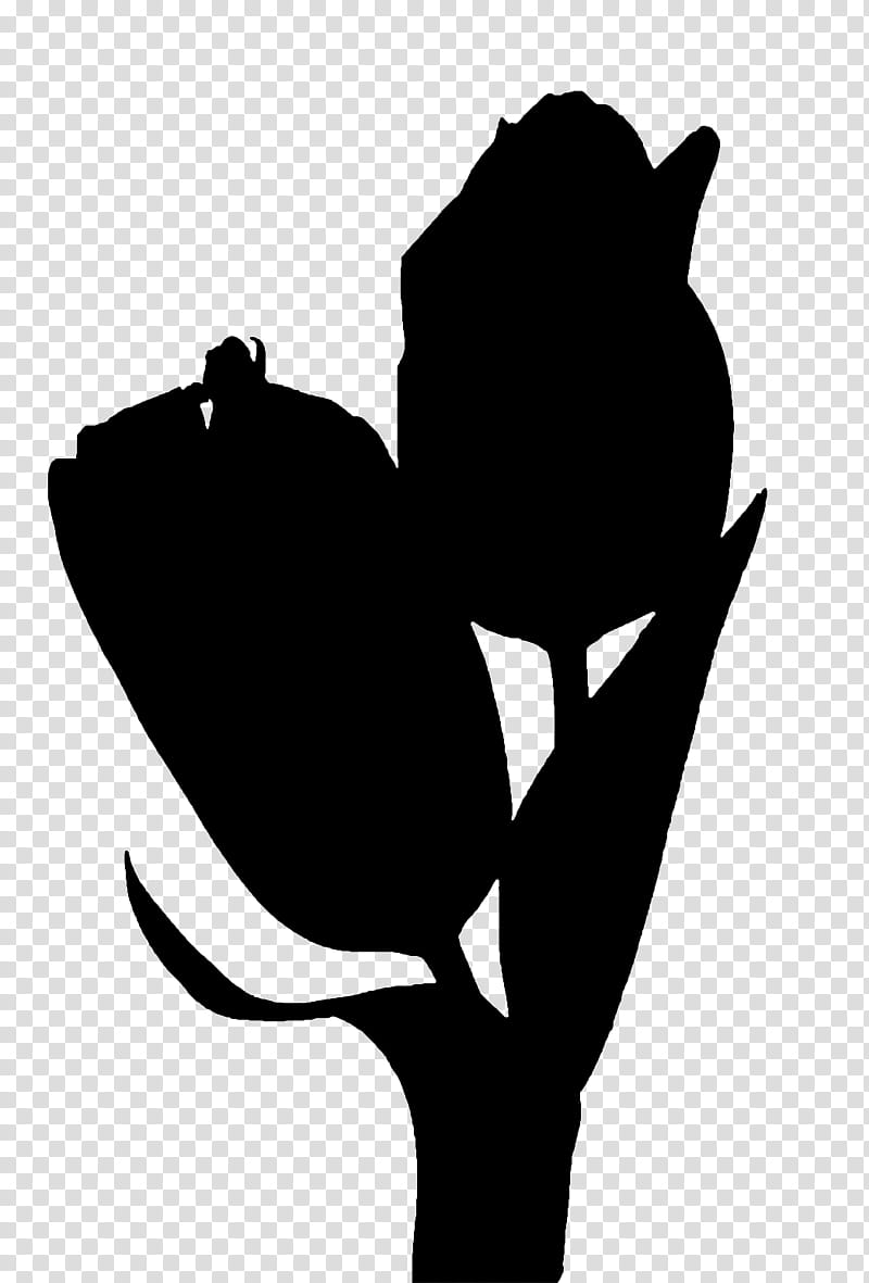 Tulip Flower, Silhouette, Leaf, Plants, Black M, Blackandwhite, Herbaceous Plant transparent background PNG clipart