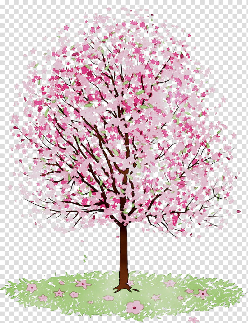 Cherry Blossom Tree, Amazon Kindle, Amazon Kindle Fire Hdx 7, Leather, Tasche, Thinshell Structure, Inch, Tablet Computers transparent background PNG clipart