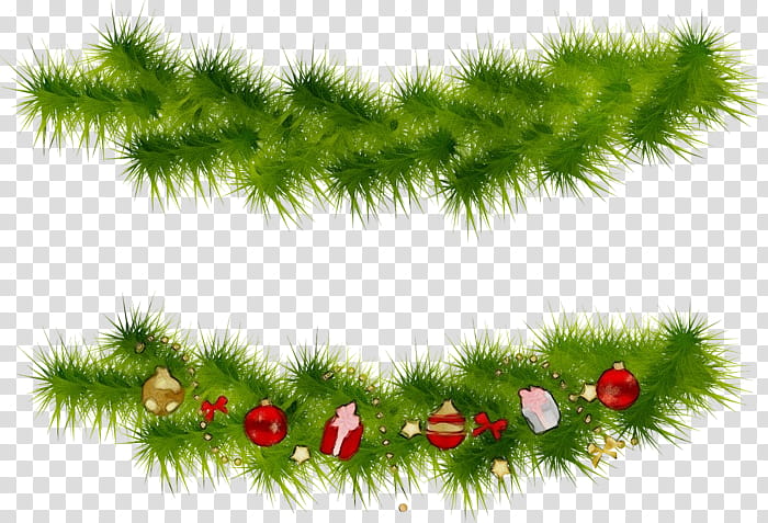 Christmas tree, Watercolor, Paint, Wet Ink, White Pine, Oregon Pine, Plant, Grass transparent background PNG clipart