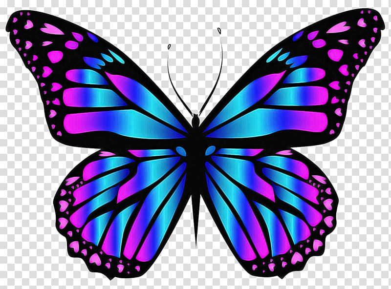 Butterfly, Gossamerwinged Butterflies, Insect, Morpho, Brushfooted Butterflies, Monarch Butterfly, Blue, Moths And Butterflies transparent background PNG clipart