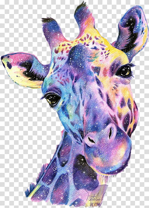 Giraffe, Northern Giraffe, Drawing, Crossstitch, Film, Painting, Paint By Number, Animal transparent background PNG clipart