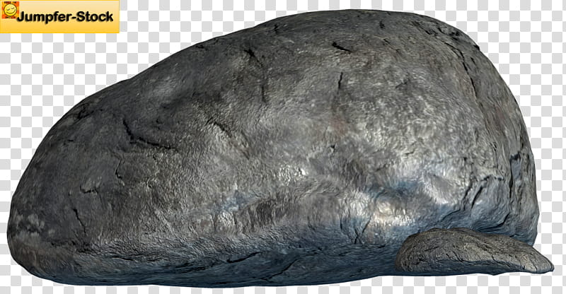 Rocks , gray whale transparent background PNG clipart