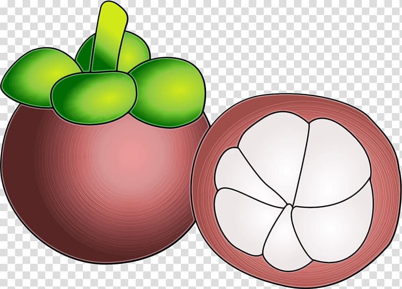 Apple, Flower, Fruit, Purple Mangosteen, Plant, Seedless Fruit transparent background PNG clipart