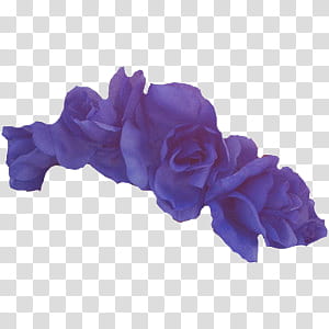 Flower Crowns, purple flower painting transparent background PNG clipart