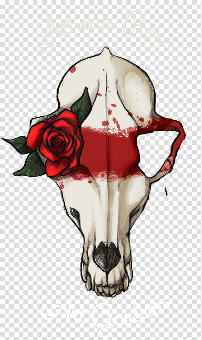 Red Skull, Tattoo Art, Diagram, Rose, Bone, Plant, Rose Family, Bull transparent background PNG clipart