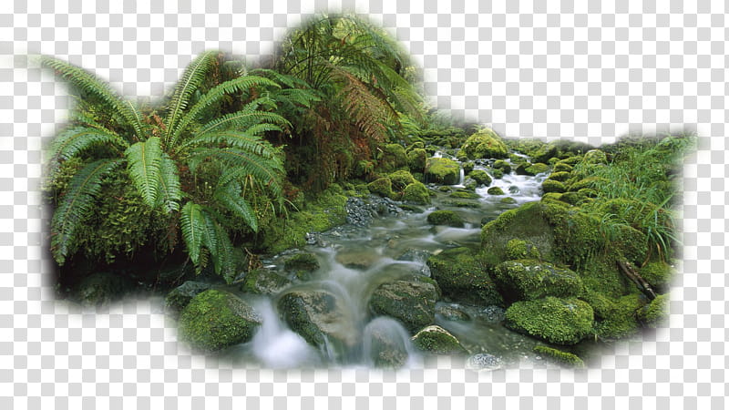 river , river transparent background PNG clipart