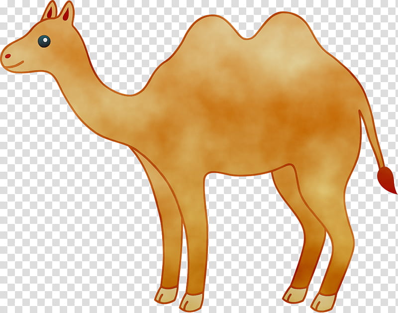 Camel Camel, Drawing, Silhouette, Cartoon, Desert, Camelid, Arabian Camel,  Animal Figure transparent background PNG clipart | HiClipart
