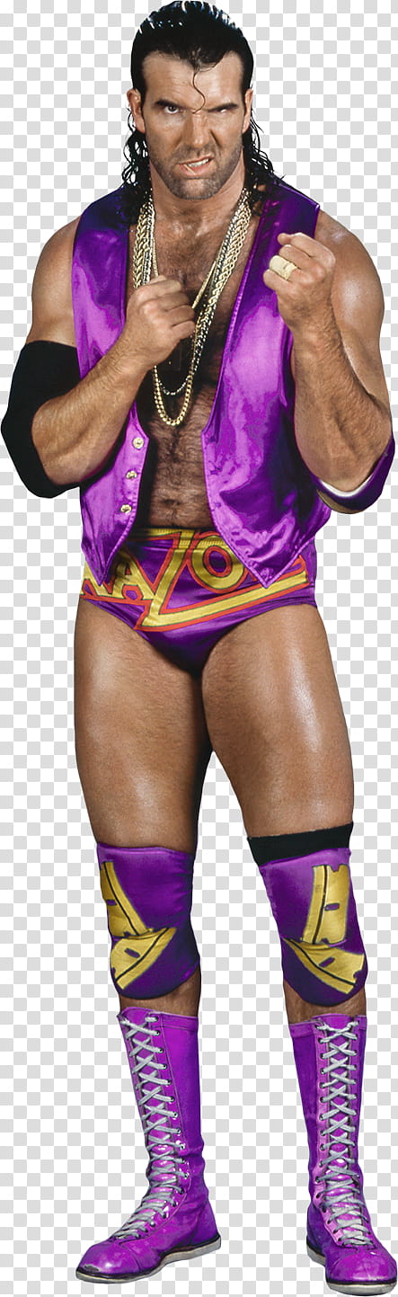 Razor Ramon Stats transparent background PNG clipart