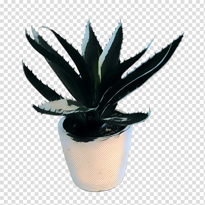 flowerpot agave houseplant plant leaf, Pop Art, Retro, Vintage, Aloe, Xanthorrhoeaceae, Succulent Plant, Terrestrial Plant transparent background PNG clipart