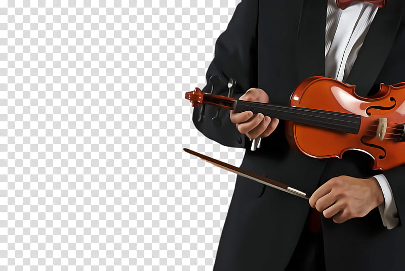 string instrument musical instrument string instrument music violin, Violist, VIOLA, Violinist, Violin Family transparent background PNG clipart