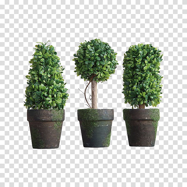 , three green leafed plants with brown pots transparent background PNG clipart
