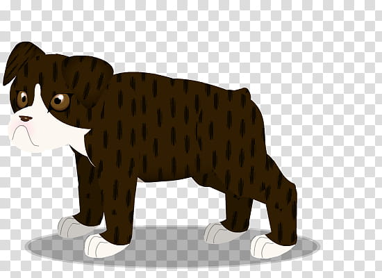 british bulldog C transparent background PNG clipart