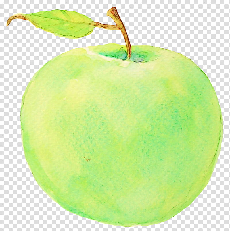 granny smith green apple fruit plant, Watercolor, Paint, Wet Ink, Food, Leaf, Natural Foods, Pectin transparent background PNG clipart