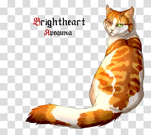 brightheart warrior cats