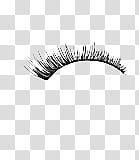 eye lashes transparent background PNG clipart