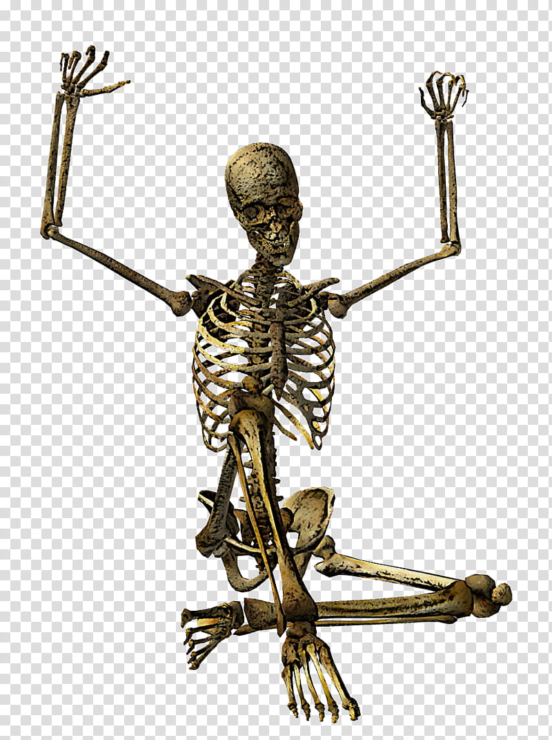skeleton religious item metal symbol transparent background PNG clipart