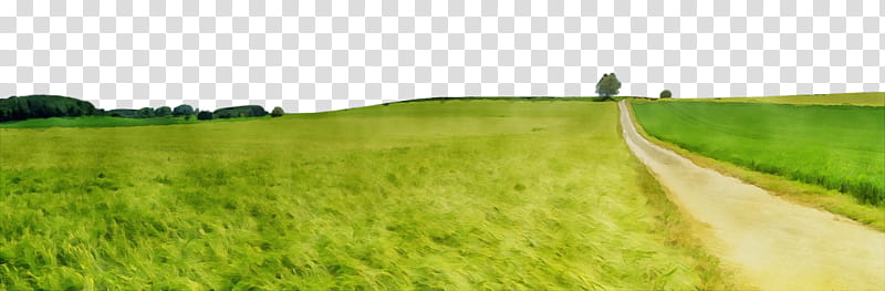 grassland green pasture land lot grass, Watercolor, Paint, Wet Ink, Lawn, Meadow, Nature, Field transparent background PNG clipart