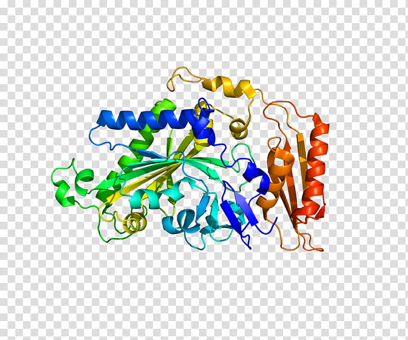 Fars2 Text, Protein, Transfer Rna, Gene, Aminoacyl Trna Synthetase, Aminoacylation, Gene Expression, Protein Domain transparent background PNG clipart