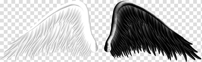Good and Evil Angel Wings  transparent background PNG clipart