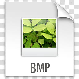 Exempli Gratia, z File BMP, white and green wooden frame transparent background PNG clipart