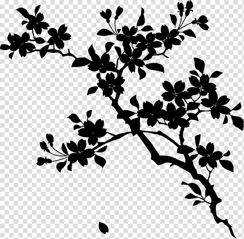 Black And White Flower, VIXX, Shangrila, Black White M, Plant Stem, Leaf, Plants, Subshrub transparent background PNG clipart