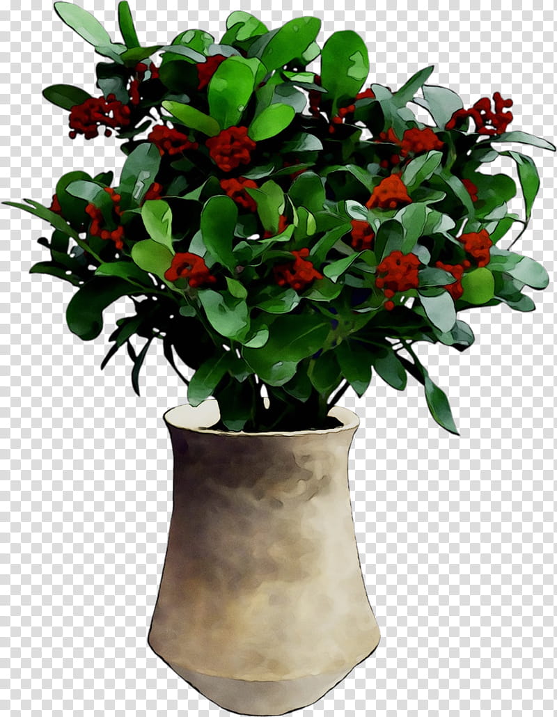 Holly Leaf, Lingonberry, Flowerpot, Shrub, Houseplant, Tree, Jade Flower, Anthurium transparent background PNG clipart