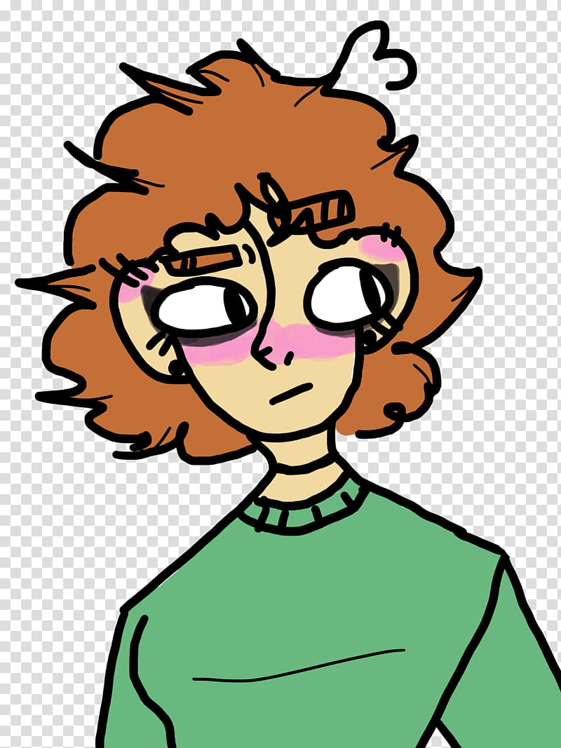 My Brother Said This Reminded Him Of Pidge. transparent background PNG clipart