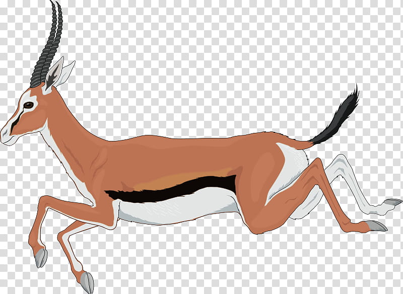 Drawing Of Family, Antelope, Pronghorn, Gemsbok, Jumping, Animal, Fauna Of Africa, Thomsons Gazelle transparent background PNG clipart