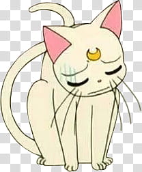 Artemis Sailor Moon, sad white cat illustration transparent background PNG clipart