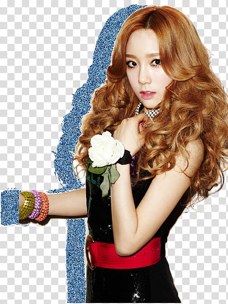 SNSD TTS Taeyeon Glitter Silhouette Edit  transparent background PNG clipart