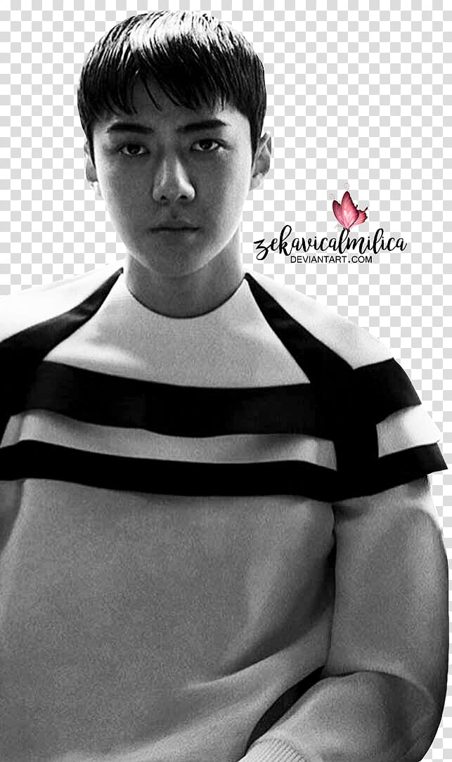 EXO Sehun Vogue transparent background PNG clipart