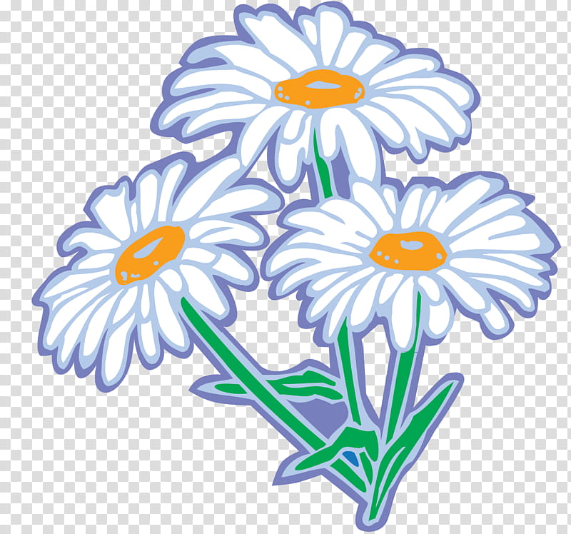 School Background Design, Flower, Floral Design, Day Bog, Oxeye Daisy, Chrysanthemum, Cut Flowers, Petal transparent background PNG clipart