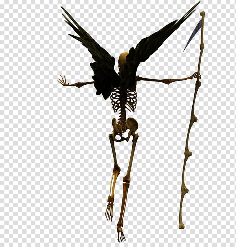 E S Angel of death, skeleton with wings artwork transparent background PNG clipart