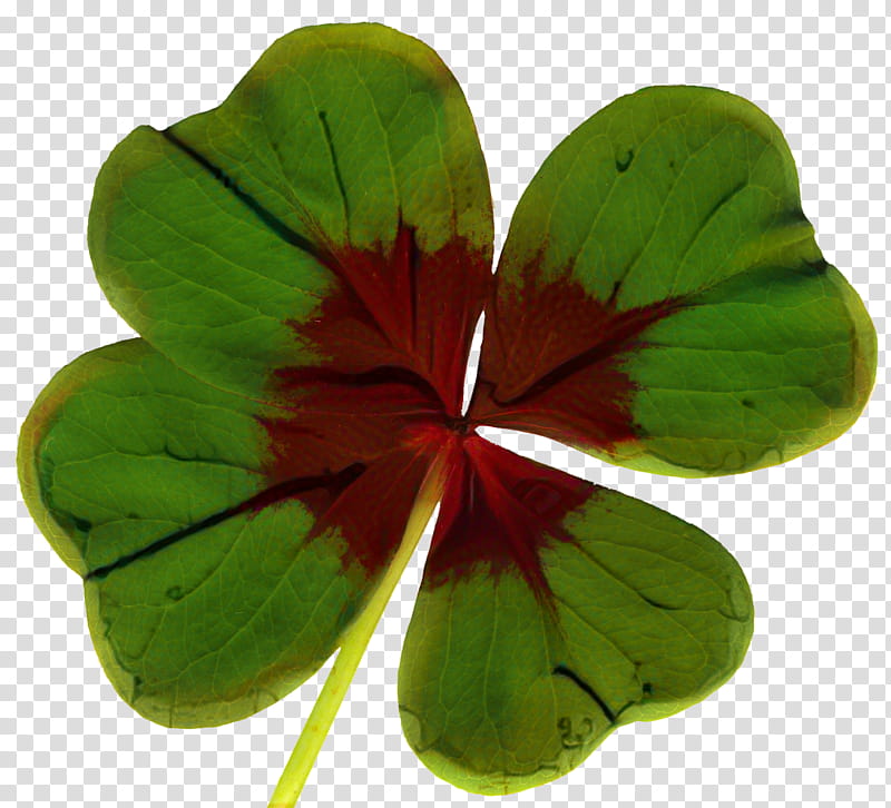 Green Leaf, Fourleaf Clover, Iron Cross, Flower, Petal, Plant, Shamrock, Symbol transparent background PNG clipart