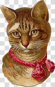 orange tabby cat illustration transparent background PNG clipart