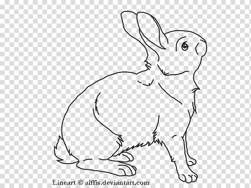 Book Black And White, Line Art, Rabbit, Hare, Drawing, Artist, Whiskers, Easter Bunny transparent background PNG clipart