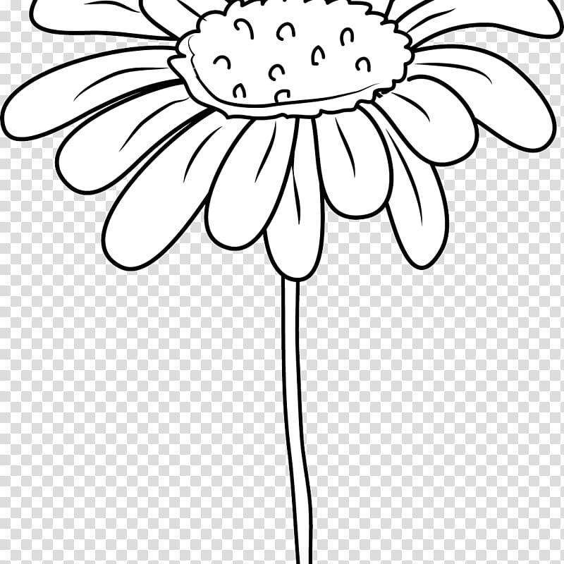 Black And White Flower, Drawing, Coloring Book, Line Art, Art Museum, Black And White
, Common Daisy, Petal transparent background PNG clipart