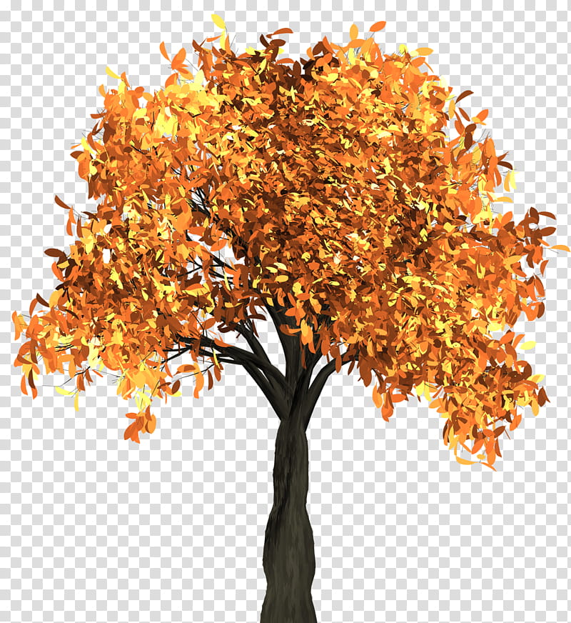 Autumn swatches, brown leafed tree illustration transparent background PNG clipart
