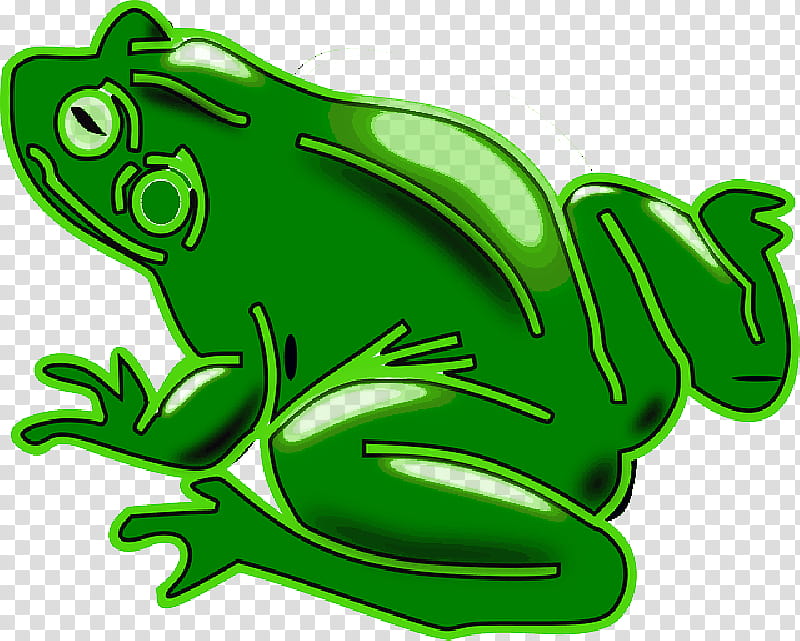 Pond, Frog, Amphibians, Common Frog, Edible Frog, Toad, Tadpole, Tree Frog transparent background PNG clipart