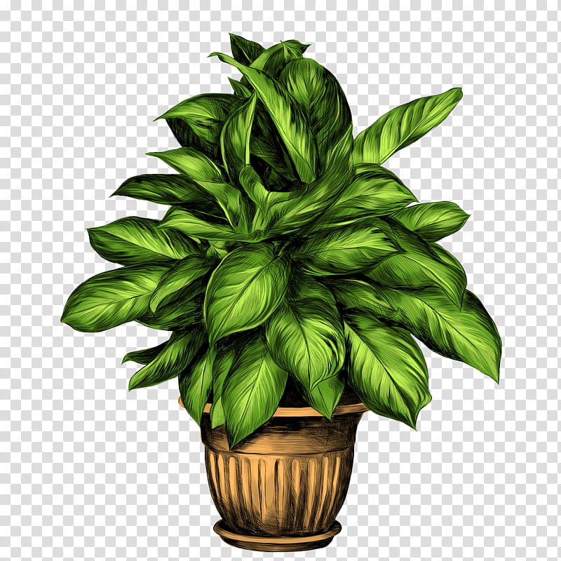 Featured image of post Potted Plant Clipart Transparent Background To created add 41 pieces transparent plants images of your project files with the background cleaned