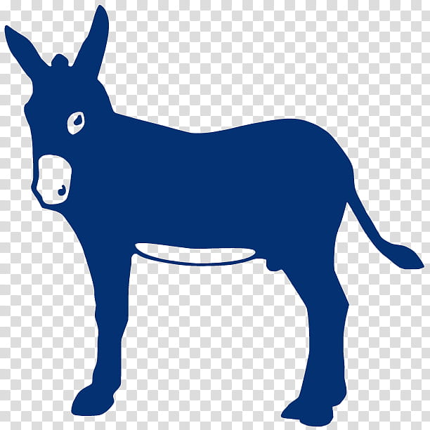 Donkey, Mule, Horse, Mane, Animal, 2018, Pet, Burro transparent background PNG clipart