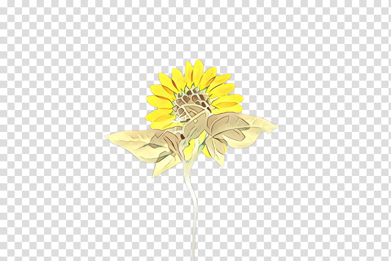 Flowers, Sunflower, Flora, Bloom, Cut Flowers, Plant Stem, Incantation, Plants transparent background PNG clipart
