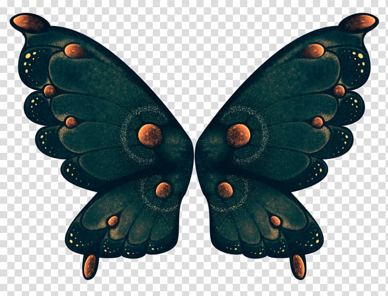 Object Wings , green and black butterfly illustration transparent background PNG clipart