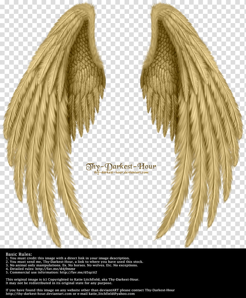 Winged Fantasy V  Golden, brown wings illustration transparent background PNG clipart